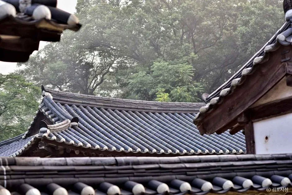 경기_김포_김포장릉_5.jpg