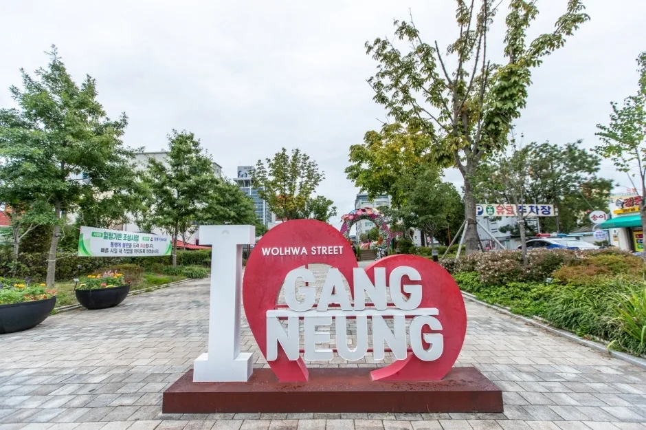 강릉 월화거리