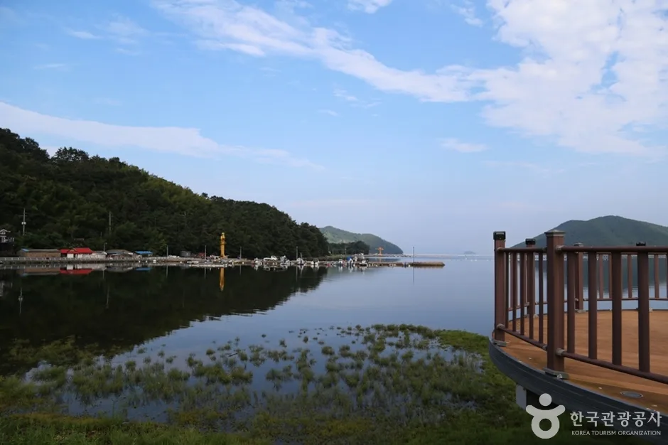 서향마을 (7)