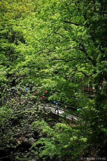 양산 가볼 만한 곳, 가족 여행 코스_홍룡폭포_2-6