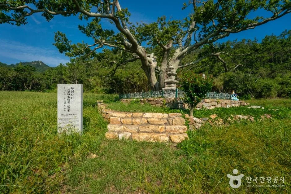신안_흑산도 (2)
