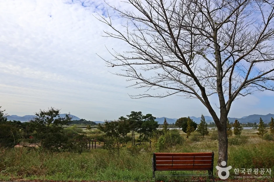 경남_밀양_명품십리길 (3)