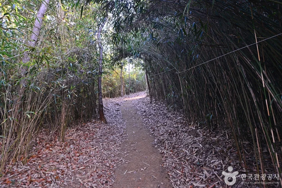 소삼도 (5)