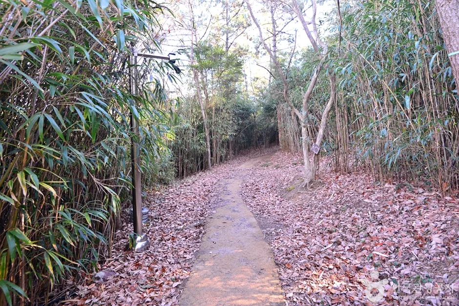 소삼도 (3)