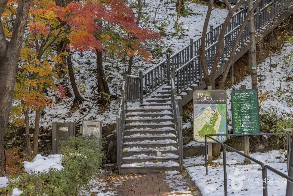 서울양천_갈산근린공원 (4)