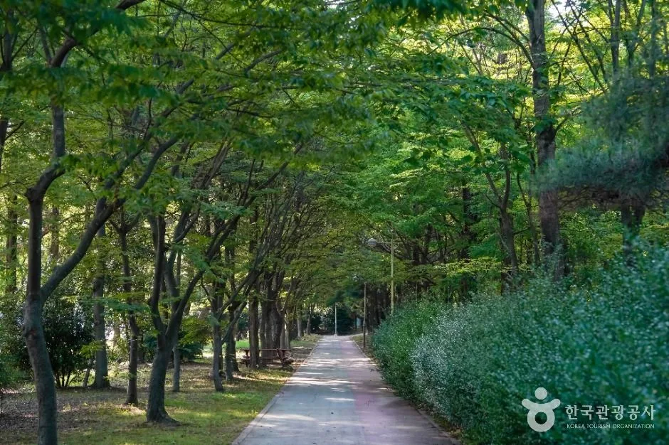 창원_올림픽공원(창원) (5)