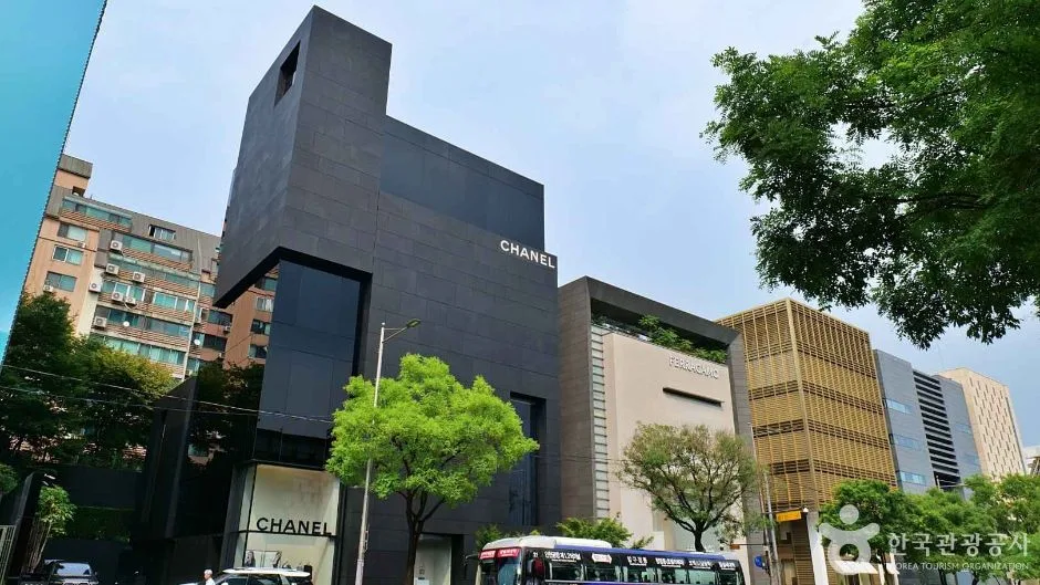 강남구_청담패션거리 (4)