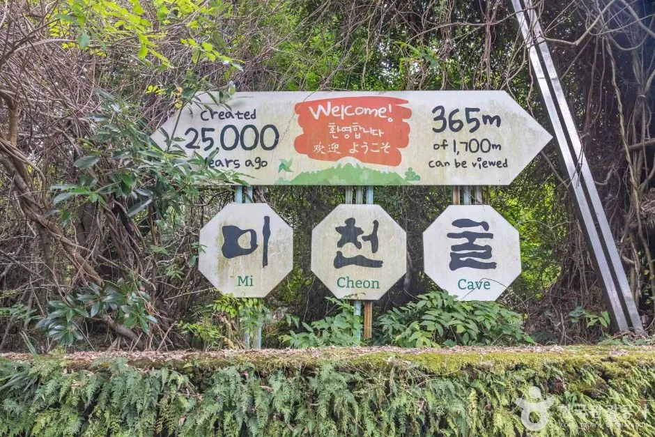 제주_서귀포_미천굴 (8)