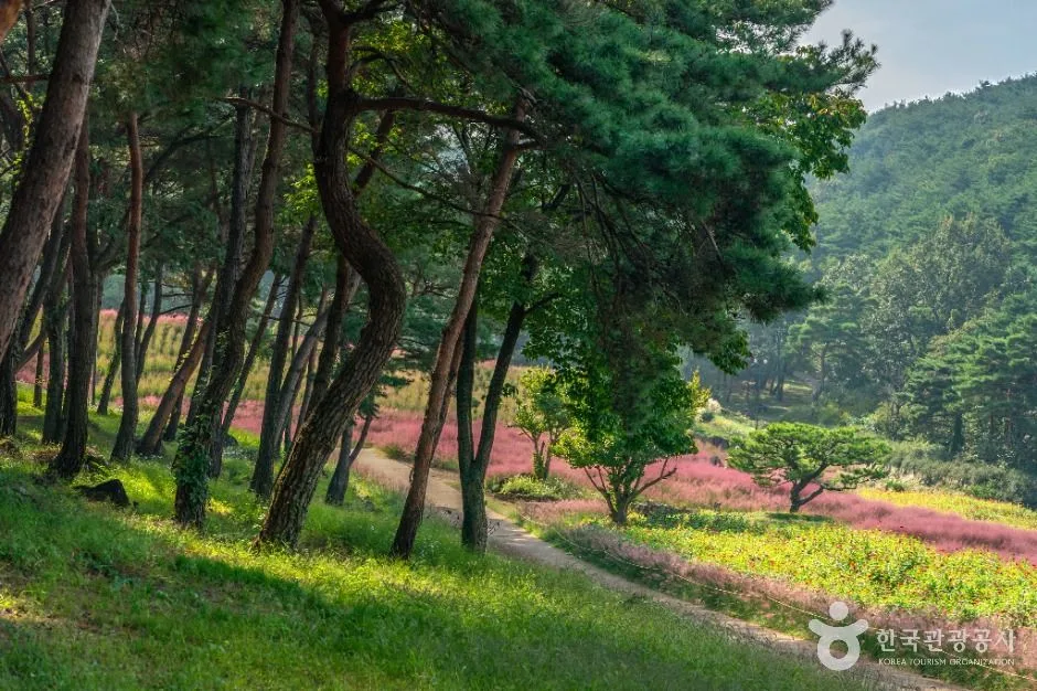 칠곡_가산수피아 (4)