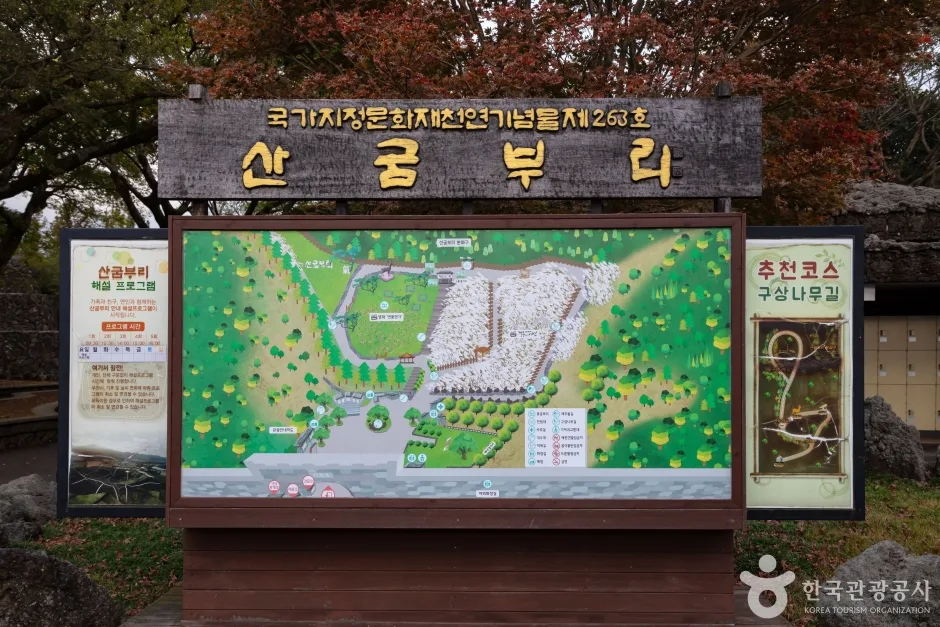 산굼부리 (8)