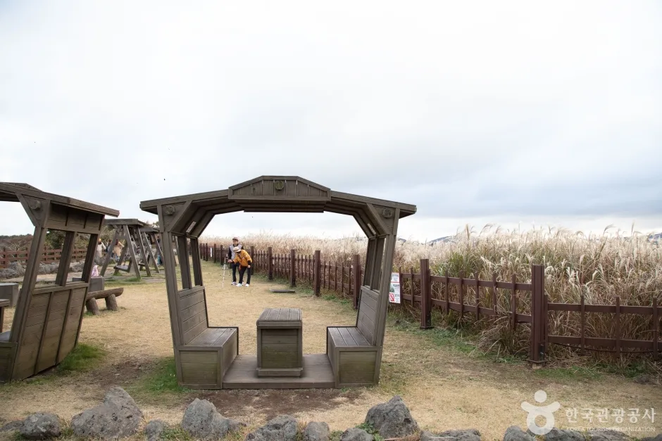 산굼부리 (9)