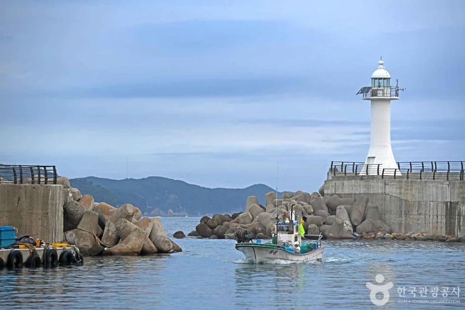 삼척_초곡항 (5)