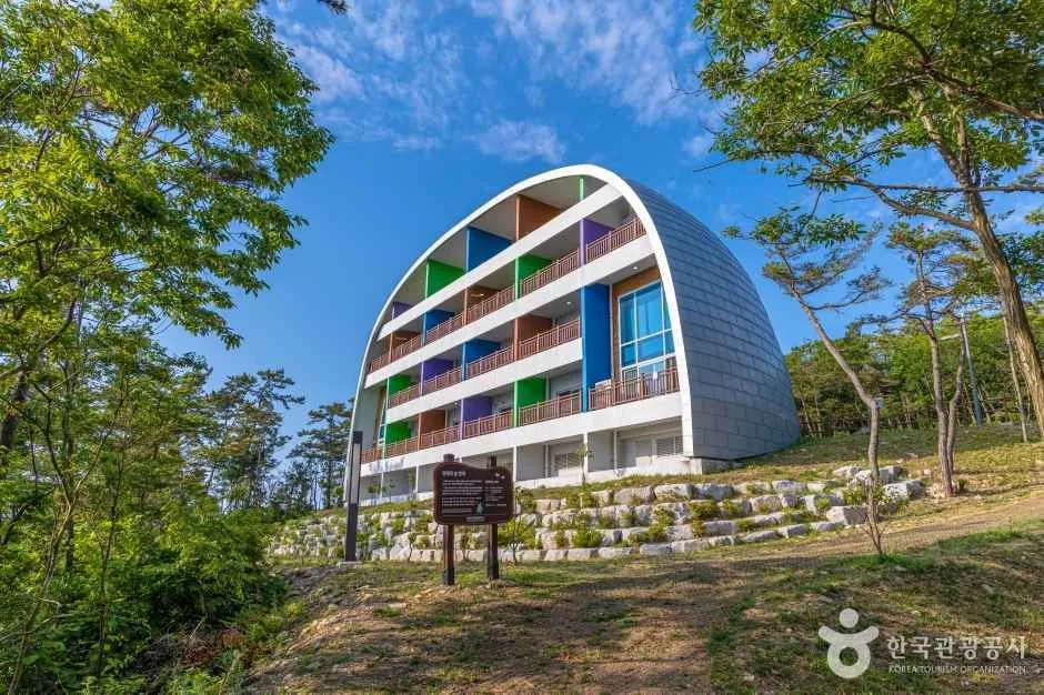 국립신시도자연휴양림 (3)