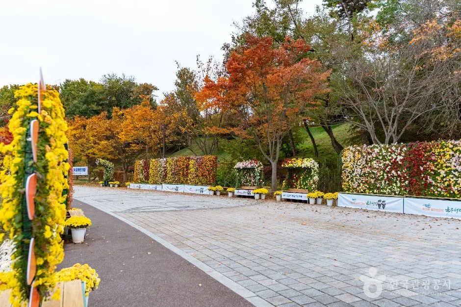 논산_논산 시민가족공원 (4)