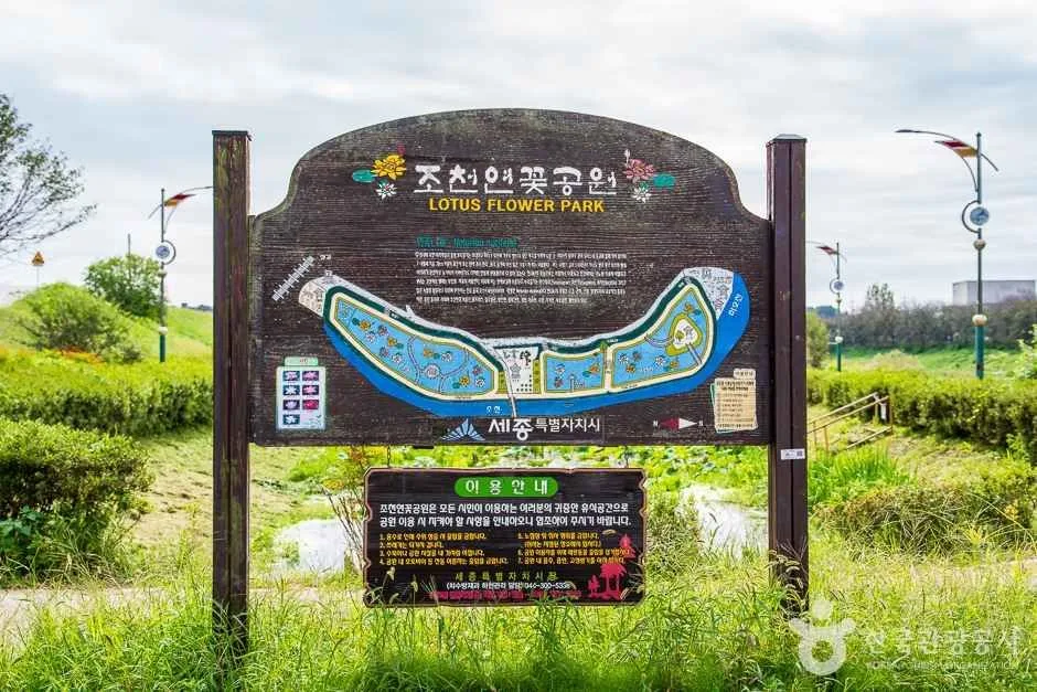 조천연꽃공원