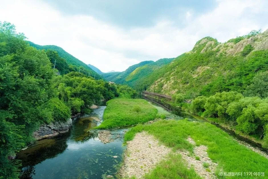 충북 영동 가볼만한곳, 영동 축제 영동난계국악축제, 레인보우힐링센터, 과일나라테마공원, 와인터널, 월류봉 5-8