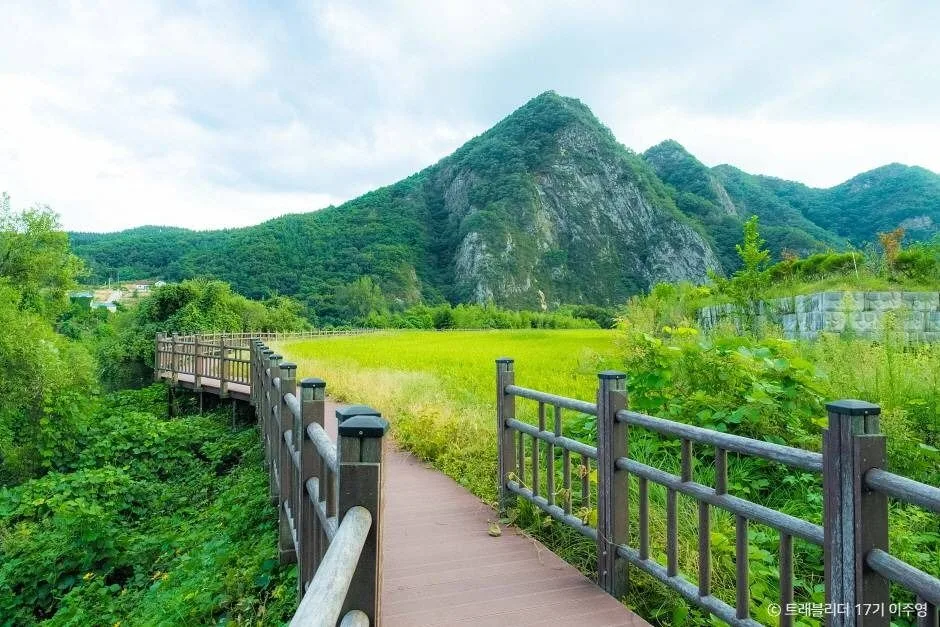 충북 영동 가볼만한곳, 영동 축제 영동난계국악축제, 레인보우힐링센터, 과일나라테마공원, 와인터널, 월류봉 5-7