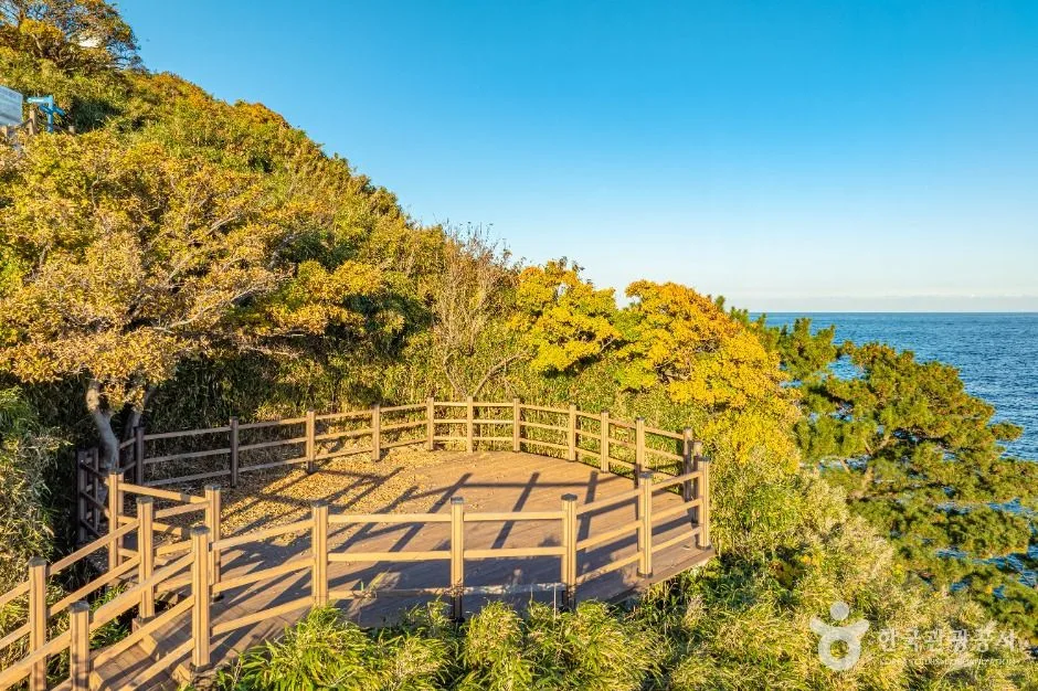 영덕_죽도산전망대 (7)