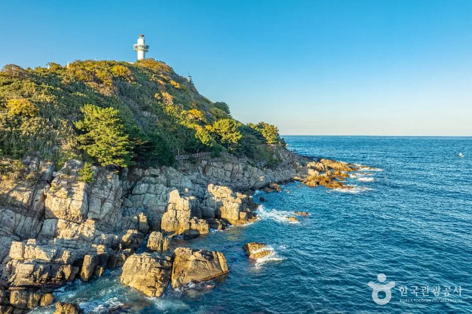 영덕_죽도산전망대 (9)