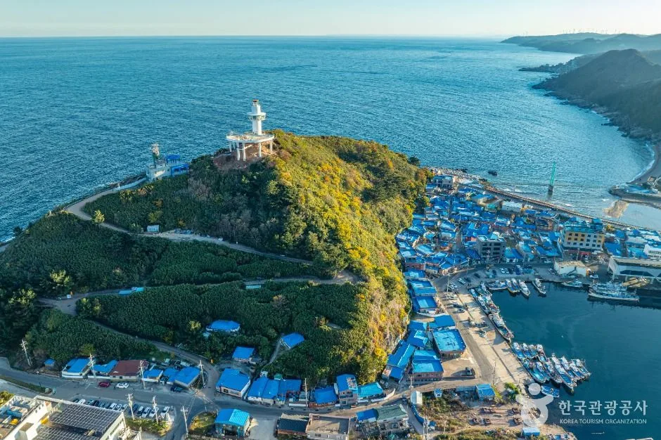 영덕_죽도산전망대 (5)