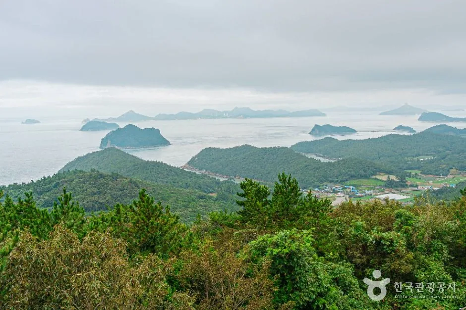 진도_급치산전망대 (5)