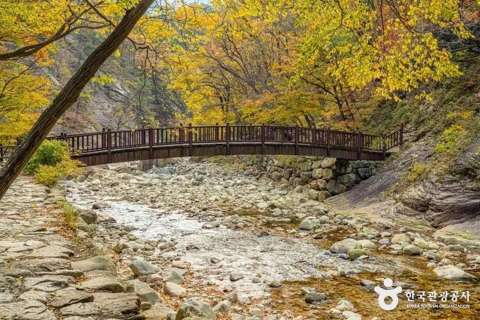 양양_설악산 오색주전골 (9).jpg