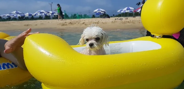 멍비치_7