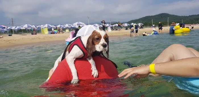 멍비치_4