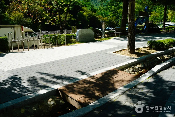 양평_용문산 (3).jpg