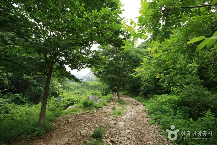 용문산