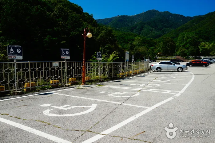 경기_용문산08
