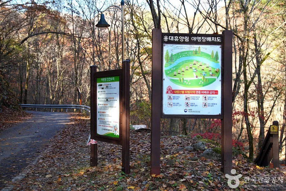국립 용대자연휴양림 (7)