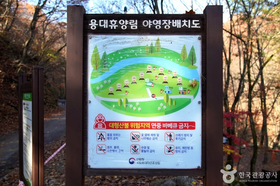 국립 용대자연휴양림 (8)