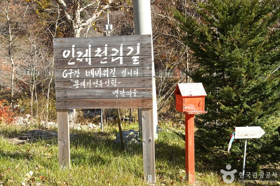 국립 용대자연휴양림 (25)