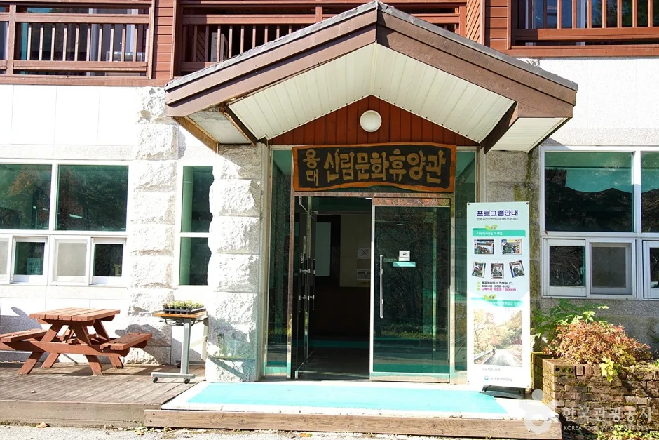국립 용대자연휴양림 (13)
