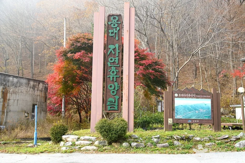 국립 용대자연휴양림 (3)