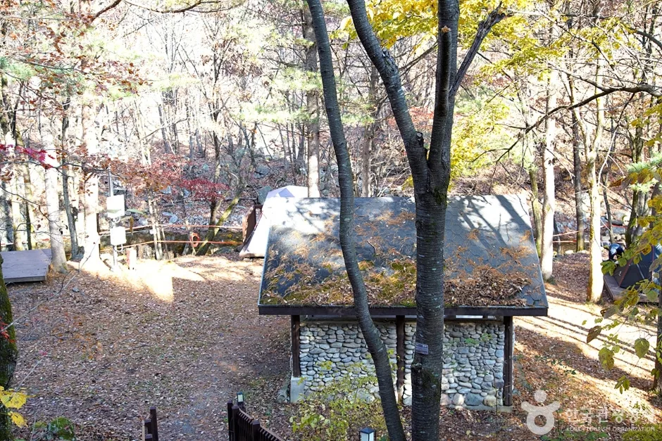 국립 용대자연휴양림 (10)