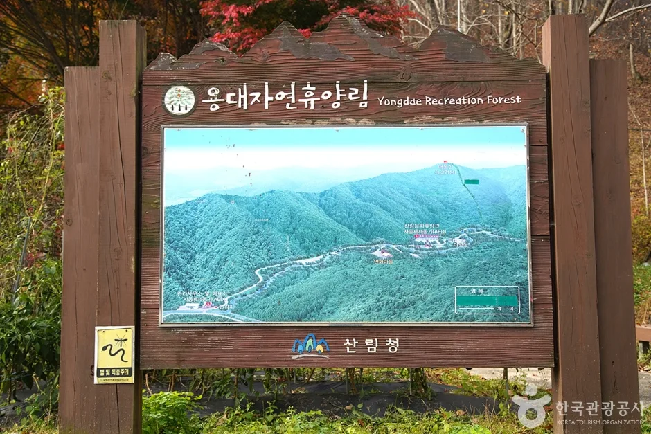 국립 용대자연휴양림 (6)