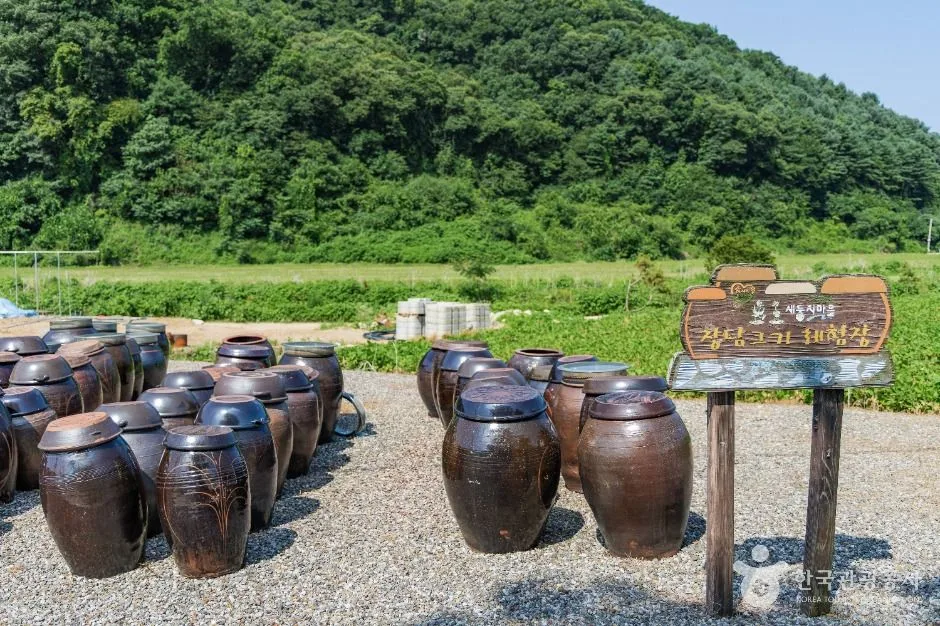 연천_새둥지마을 (6)