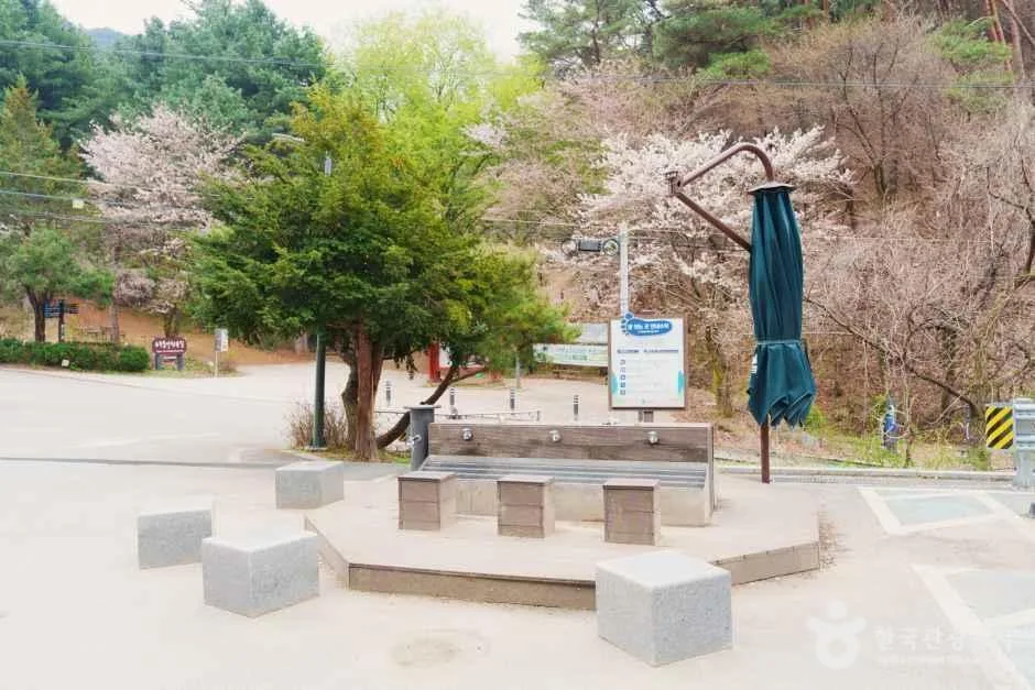 강원_원주_운곡솔바람숲길_외부_3.png