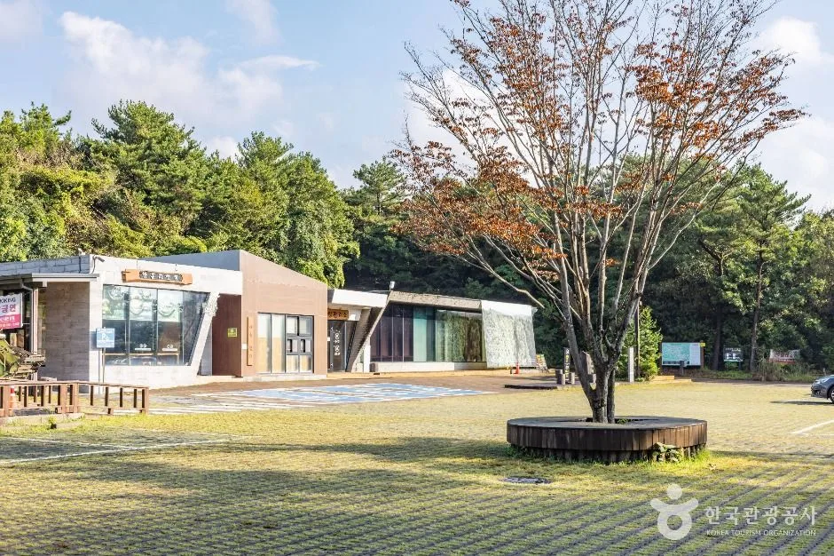 제주_서귀포 치유의숲 (3)
