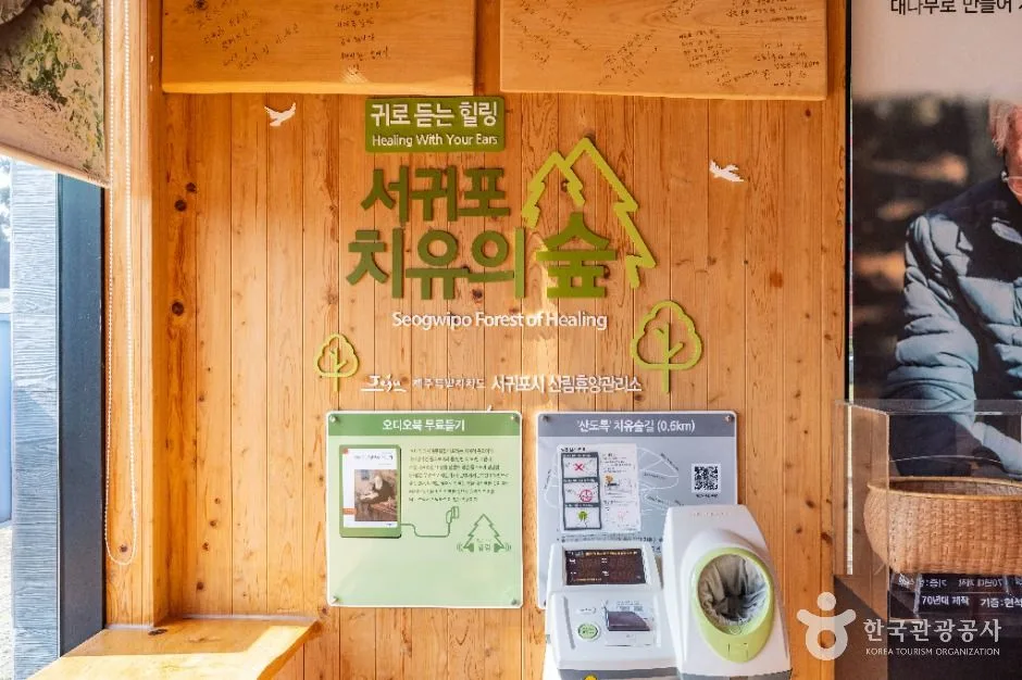 제주_서귀포 치유의숲 (4)