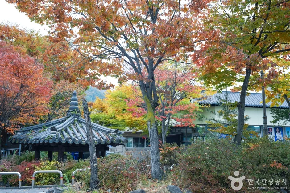경북_봉화_다덕약수탕 (8)