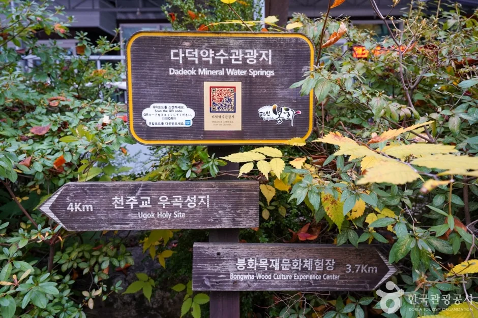 경북_봉화_다덕약수탕 (5)