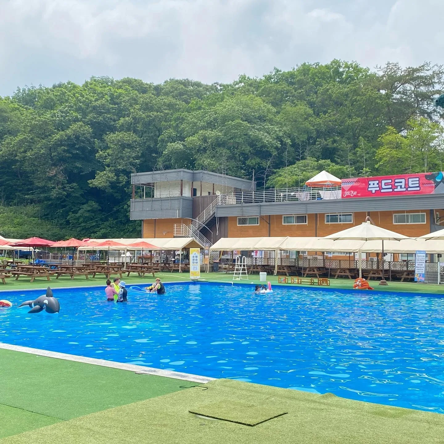 도그스포지움 송추점