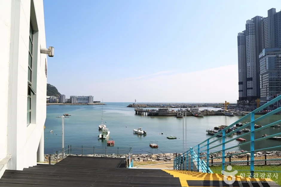 동삼동패총전시관 (2)