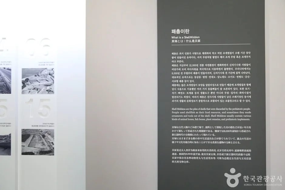 동삼동패총전시관 (9)