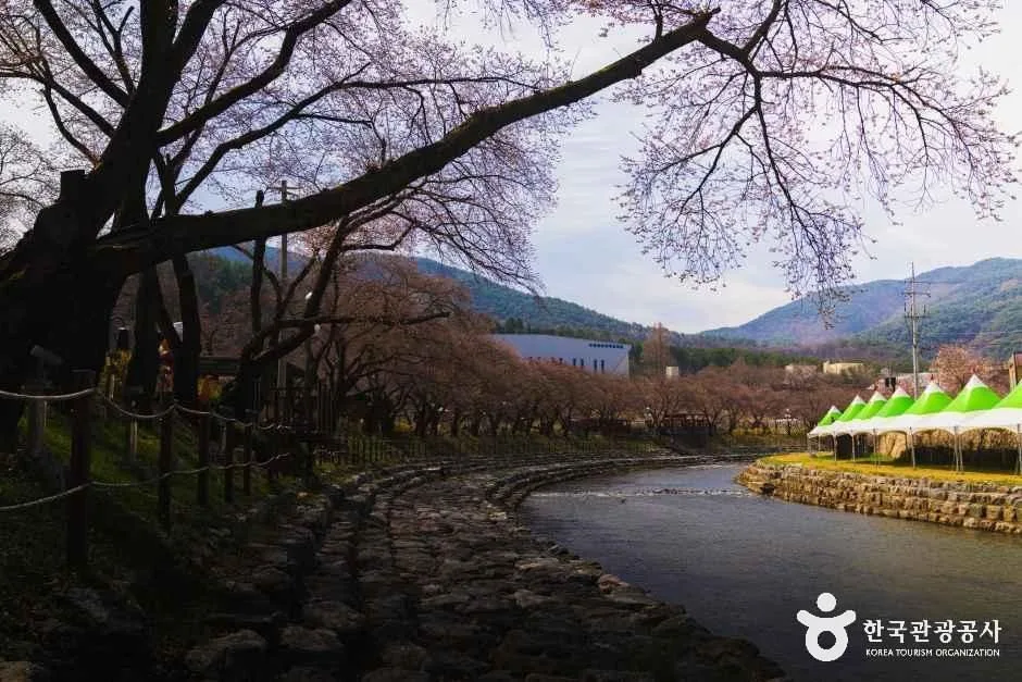 충북_충주_수안보온천관광특구_외부_4.jpg