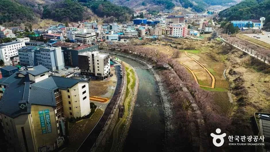 충주_수안보온천 관광특구 (2)