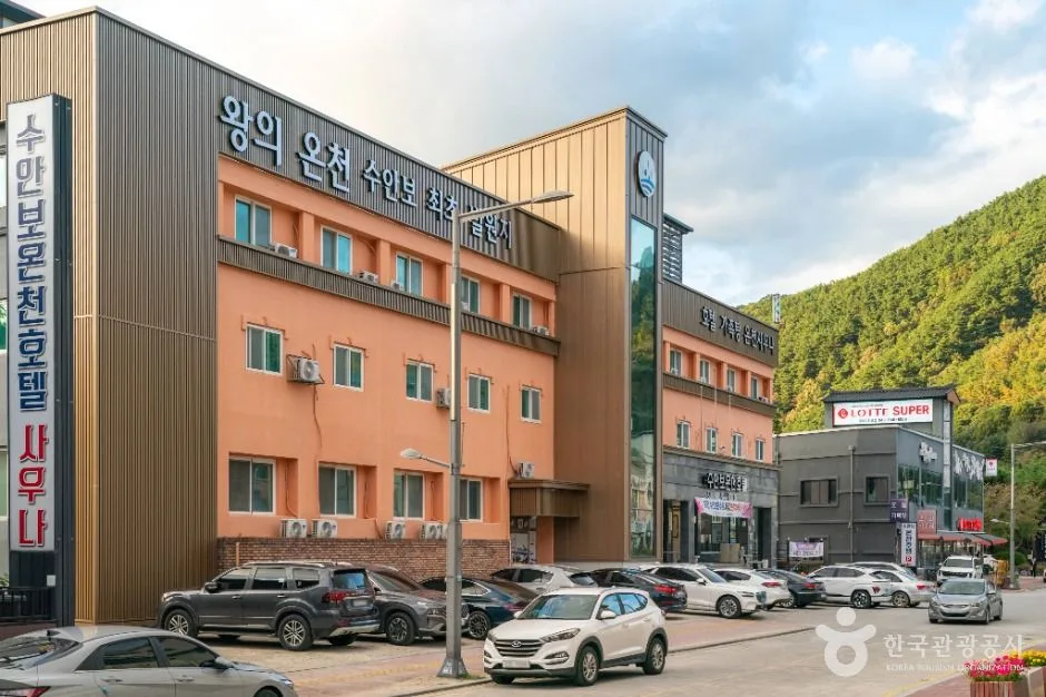 충북_충주_수안보온천관광특구_외부_1.jpg